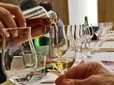 Degustazione di grappa, AssoDistil
