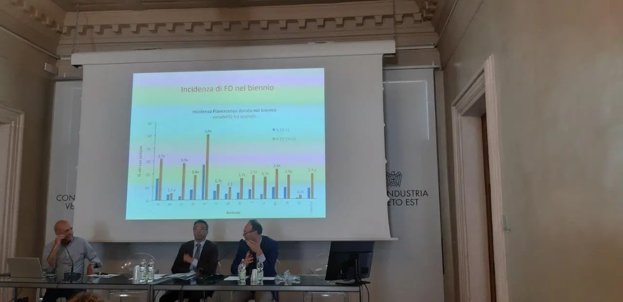 Un momento dell'incontro del Gruppo Vinicolo di Confindustria Veneto Est
