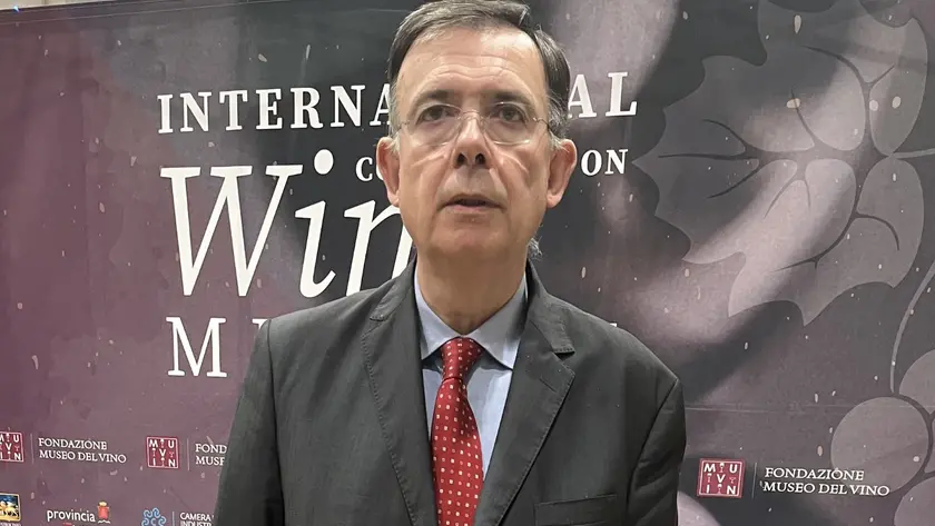 Il presidente della Fondazione Muvin Diego Begalli