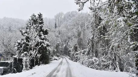 Prima nevicata in Alto Adige