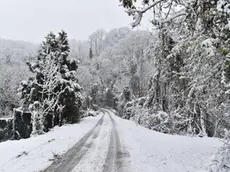 Prima nevicata in Alto Adige