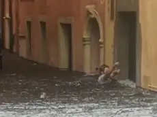 Fermo immagine del video pubblicato da Meteoweb sul nubifragio che ha colpito la città di Verona. WWW.METEOWEB.EU +++ATTENZIONE LA FOTO NON PUO' ESSERE PUBBLICATA O RIPRODOTTA SENZA L'AUTORIZZAZIONE DELLA FONTE DI ORIGINE CUI SI RINVIA+++ ++HO – NO SALES EDITORIAL USE ONLY++