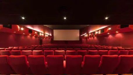 Le attuali condizioni in cui versa la Sala Troisi del "Piccolo Cinema America", per la salvaguardia della quale, in occasione di un open day all'interno del cinema stesso, l'Associazione "Piccolo Cinema America" che raccoglie ragazzi dai 15 ai 25 anni, ha illustrato un progetto di restyling che prevede, oltre alla sala cinematografica, aule studio e una biblioteca aperte 24 ore su 24. ANSA/ UFFICIO STAMPA ASSOCIAZIONE PICCOLO CINEMA AMERICA +++ NO SALES, EDITORIAL USE ONLY ++++