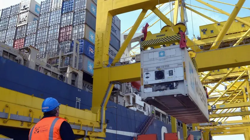 Container nel porto di Trieste