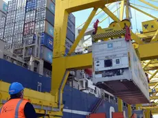 Container nel porto di Trieste