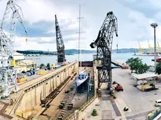 Porto di Trieste