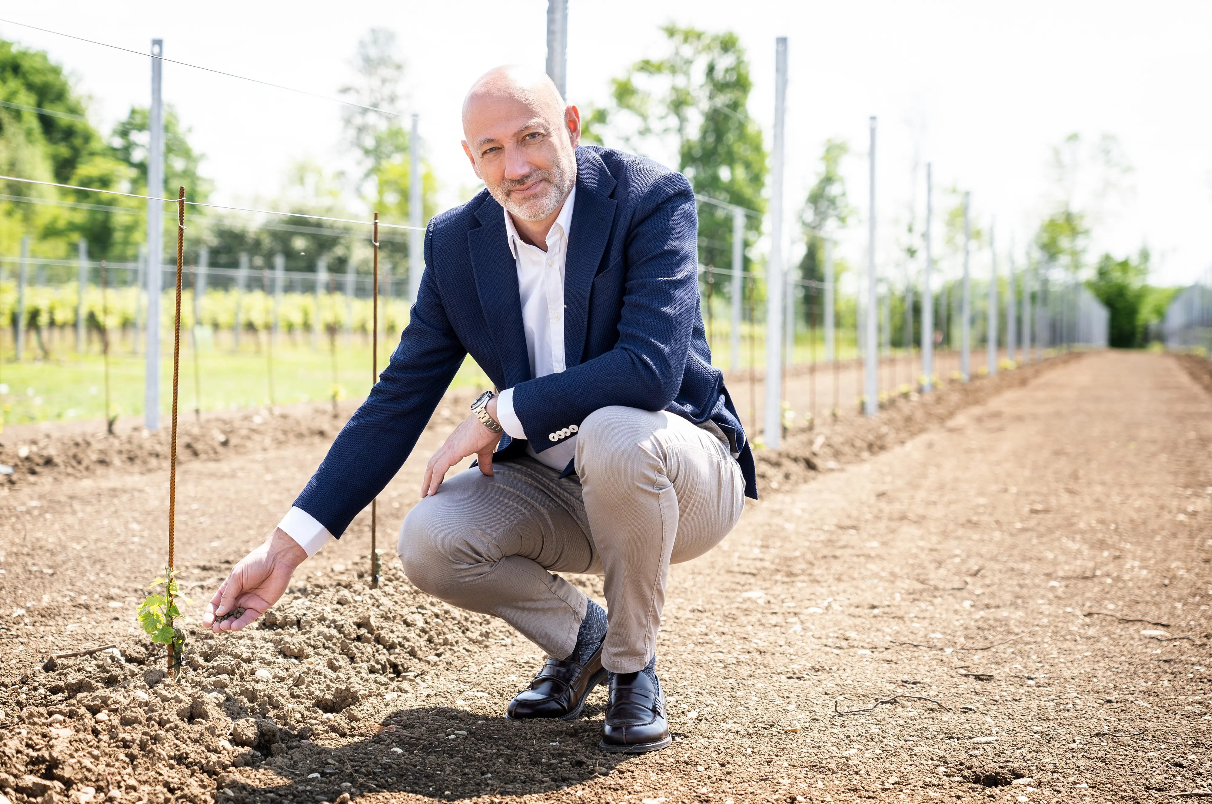 Mirko Bellini, direttore generale Viticoltori Friulani La Delizia