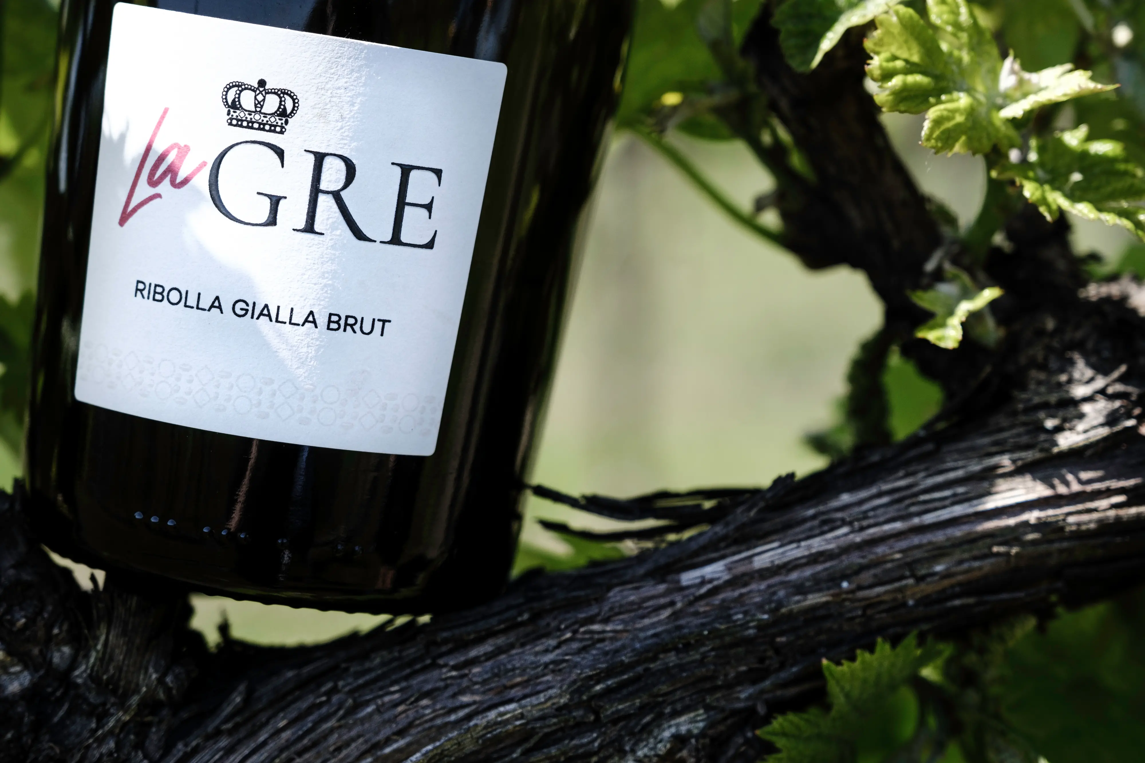 La Ribolla gialla brut