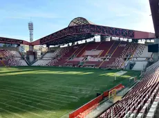Lasorte Trieste 12/09/23 - Stadio Nereo Rocco, Terreno di Gioco, Prato