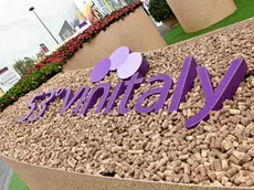 Un momento dell'inaugurazione di Vinitaly 2019, Verona, 7 aprile 2019. ANSA/MAURILIO BOLDRINI