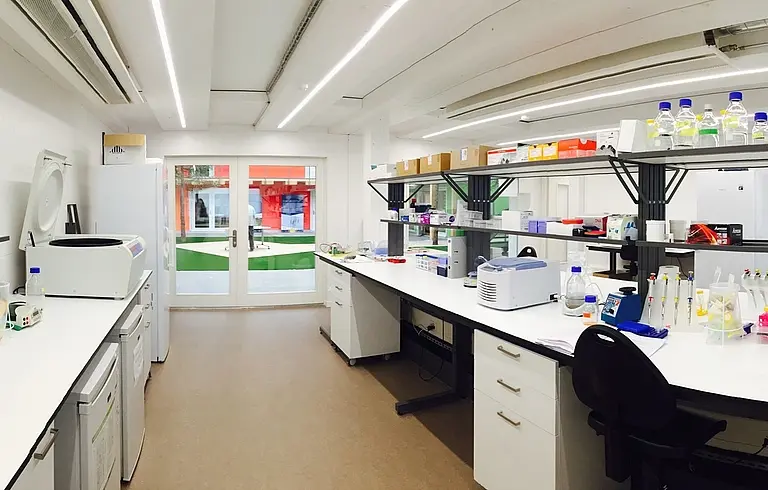 Laboratorio di Sichh