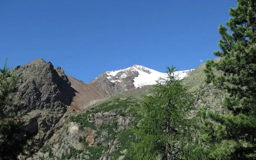 Val di Pejo a 1393 metri di altezza ai piedi dei ghiacciai del gruppo Ortles-Cevedale, da dove sgorga l'acqua Pejo