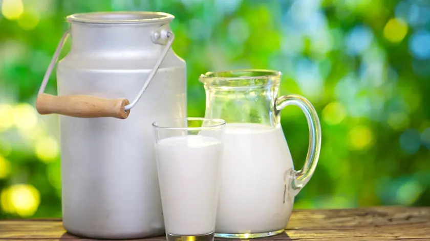 Milk in various dishes.