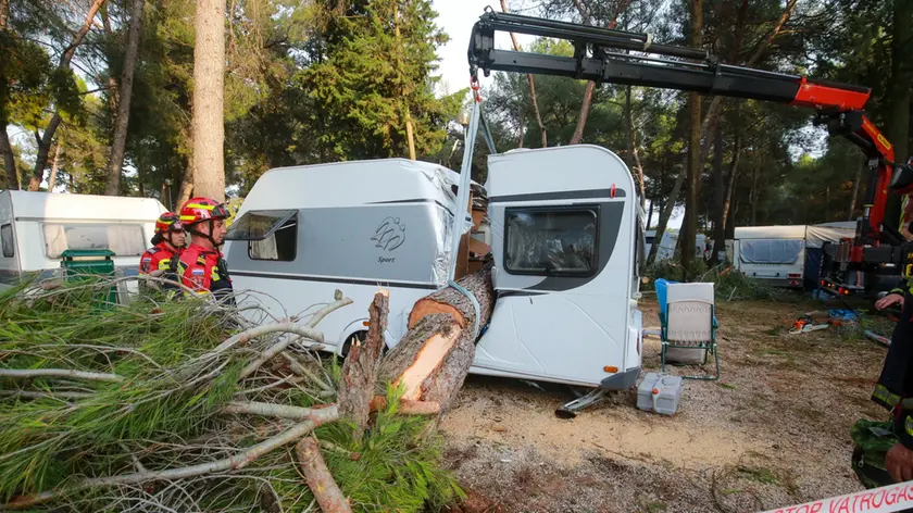 Un albero caduto a Cittanova (foto tratta da Jutarni.hr)