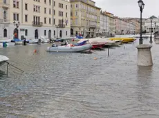 Acqua alta a Trieste (Lasorte)