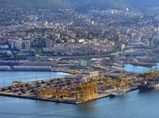 L'Interporto di Trieste