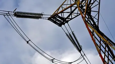(ANSA) - ANCONA, 28 GEN - Energia: traliccio per il trasporto di elettricità.
