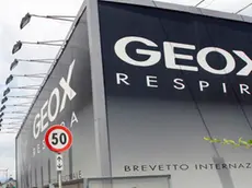 Borghesi Biadene azienda Geox