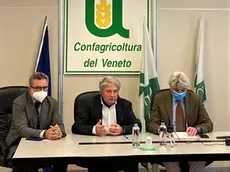 Da sinistra Fiorentini, Rotundo e Giustiniani