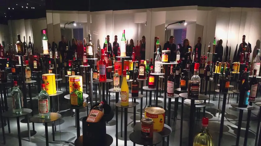 L'interno del museo Luxardo