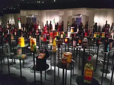 L'interno del museo Luxardo