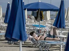 La spiaggia di Grado con le sue file di ombrelloni e gli alberghi a due passi. Foto Katia Bonaventura. Sotto la zipline tra i boschi e il lago di Sauris e i tavolini di un bar affollato sulla spiaggia di Lignano. Nella foto grande a destra uno scatto della