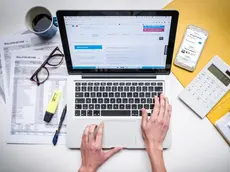 Woman doing administrative paperwork on the internet.