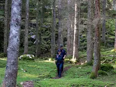 Carabinieri forestali in un bosco infestato dal bostrico