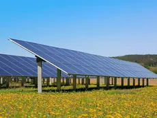 Solar panels on an open green field with yellow flowers and blue sky in the spring. Salo, Finland.